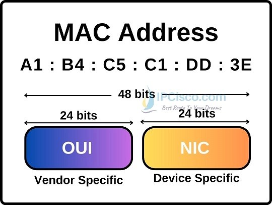 mac-address